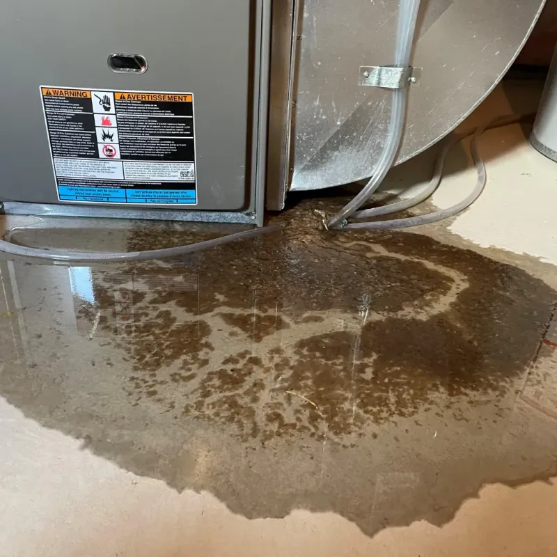 Appliance Leak Cleanup in Kemah, TX